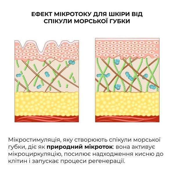 Набір для інтенсивного зволоження Hillary Intensive Hydration Kit K-11-858 фото