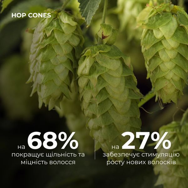 Мультиактивний комплекс з екстрактом шишок хмелю Hillary MULTI-ACTIVE HOP CONES, 50 мл HI-07-132 фото