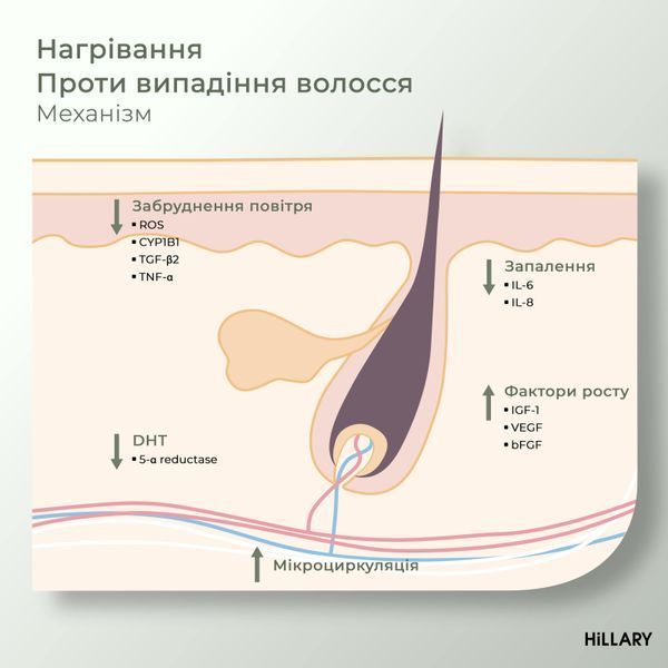 Ензимний пілінг для шкіри голови + Комплекс проти випадіння волосся Hillary Serenoa & РР Hair Loss Control K-11-071 фото