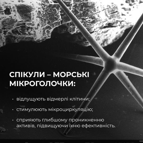 Комплекс для ліфтингу і відновлення пружності шкіри обличчя та шиї Hillary Face & Neck Firming & Lifting Complex K-11-828 фото