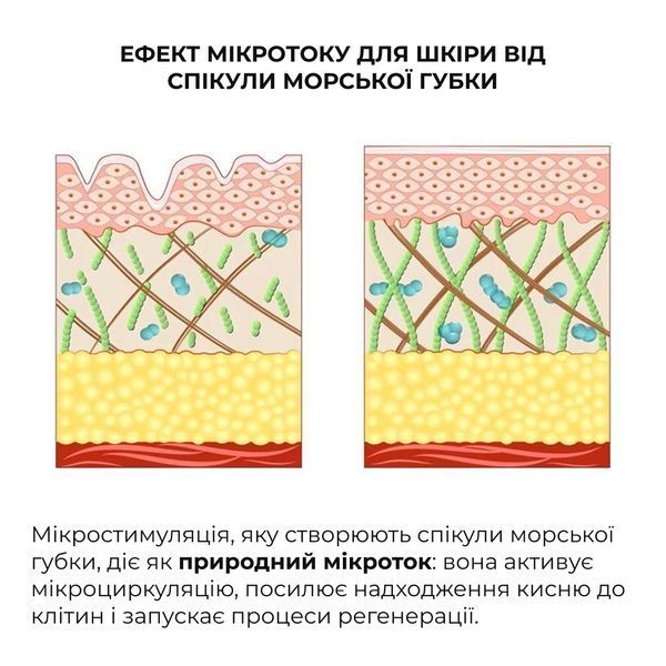 Комплекс для ліфтингу і відновлення пружності шкіри обличчя та шиї Hillary Face & Neck Firming & Lifting Complex K-11-828 фото