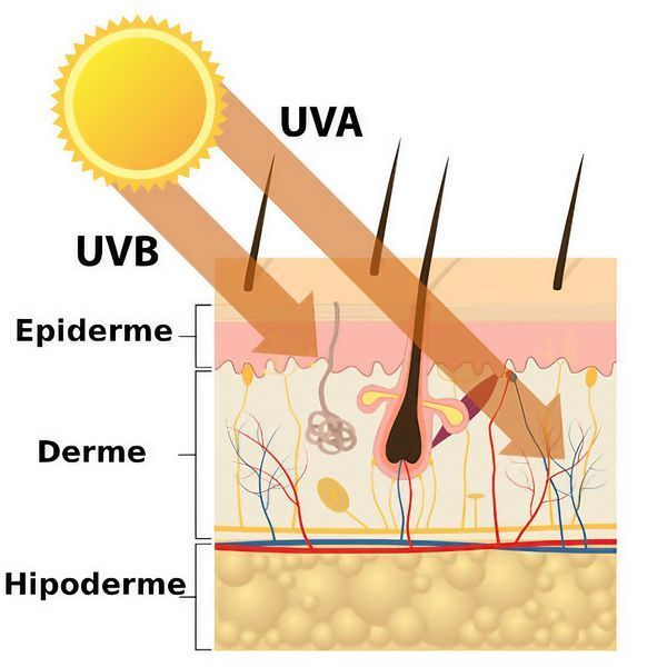 Сонцезахисний крем для обличчя SPF 50+ Hillary VitaSun Daily Defense Cream, 40 мл HI-08-519 фото