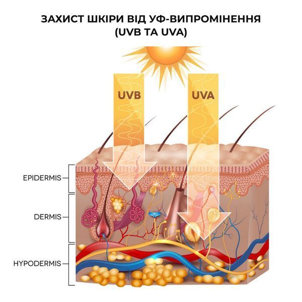Набір для захисту та зволоження шкіри обличчя і тіла з вітаміном С Hillary Face & Body Protection & Vitamin C Hydration Set K-11-620 фото