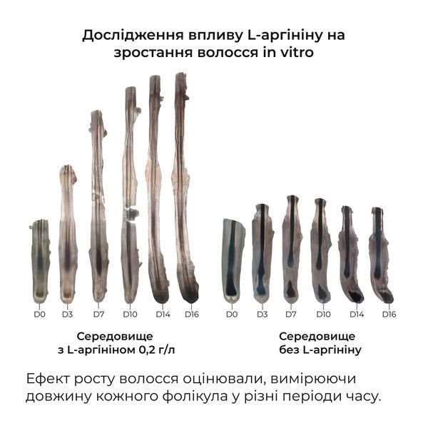 Ензимний пілінг для шкіри голови + Сироватка проти випадіння волосся SERENOA K-11-278 фото