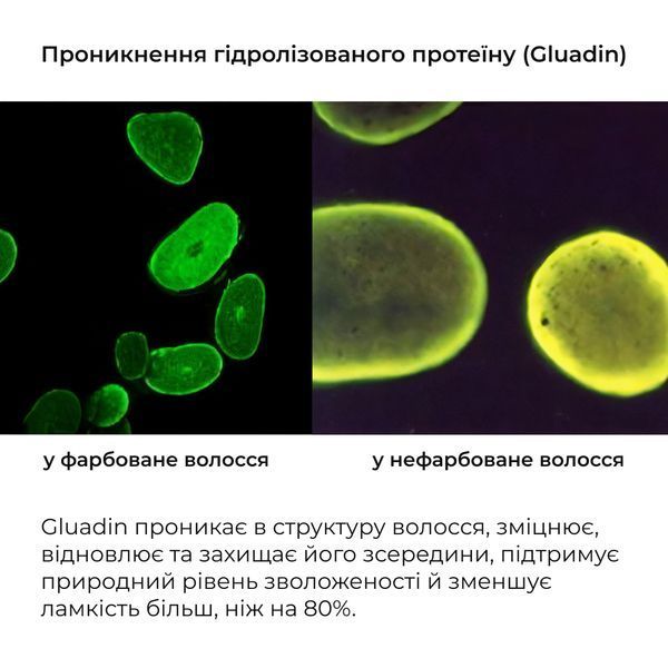Комплекс проти випадіння волосся Hillary Serenoa & РР Hair Loss Control HI-11-080 фото