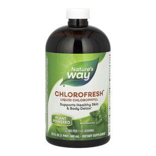 Chlorofresh&reg; Liquid - 16 oz Mint 2023-10-2173 фото