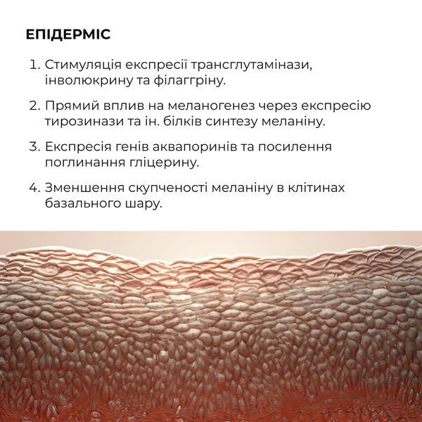 Сироватка для активного відновлення шкіри Hillary ReNuAge Retinol Active Renewal Serum, 30 мл HI-08-711 фото