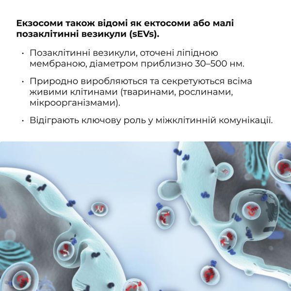 Антигравітаційна моделююча сироватка з екзосомами центелли для обличчя та шиї Hillary ReNuAge ContourLift Serum, 30 мл HI-08-992 фото