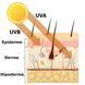 Сонцезахисний крем для обличчя SPF 30+ Hillary VitaSun Daily Protect Cream, 40 мл HI-08-400 фото 9