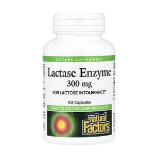 Lactase Enzyme - 60 caps 2023-10-6540 фото