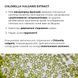 Комплекс моделюючого догляду з екзосомами та пептидами ReNuAge Sculpting Care Complex with Exosomes and Peptides K2-08-630 фото 16