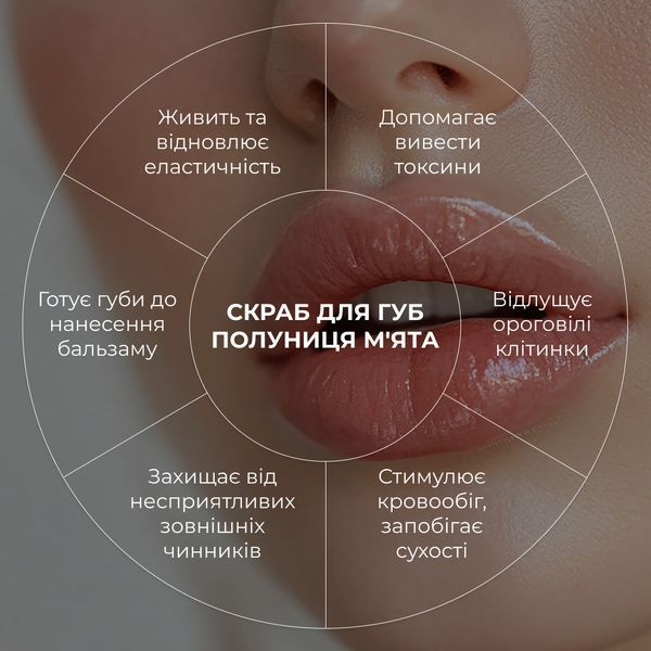 Набір проти сухості та для об&rsquo;єму губ Hillary Lip Hydration & Plumping Set K-11-944 фото