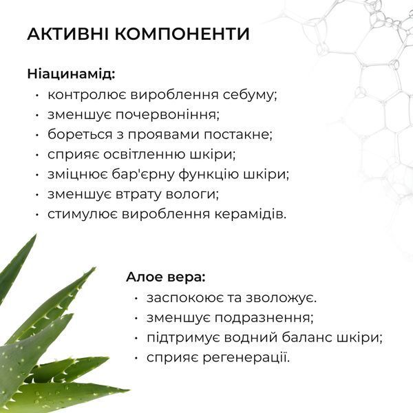 Набір для зменшення жирності та запалень з ніацинамідом Hillary Anti-Blemish Niacinamide Set K-11-321 фото